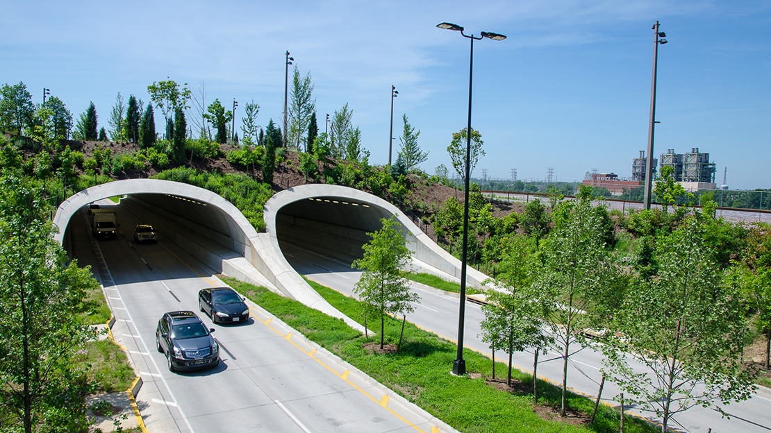 Tulsa Gathering Place tunnel