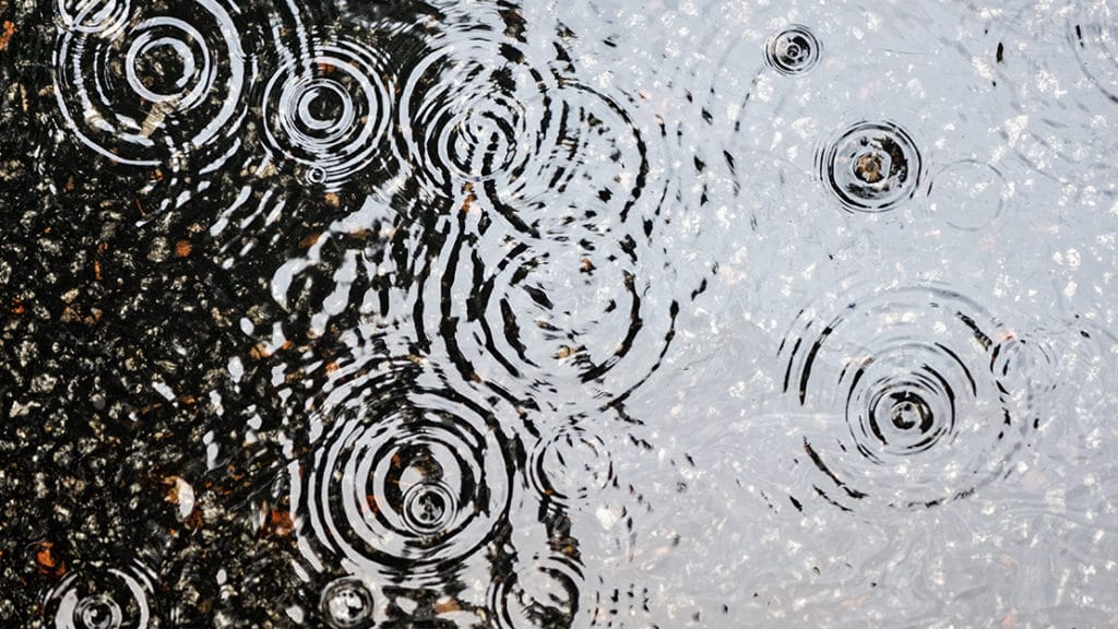 Raindrops on pavement